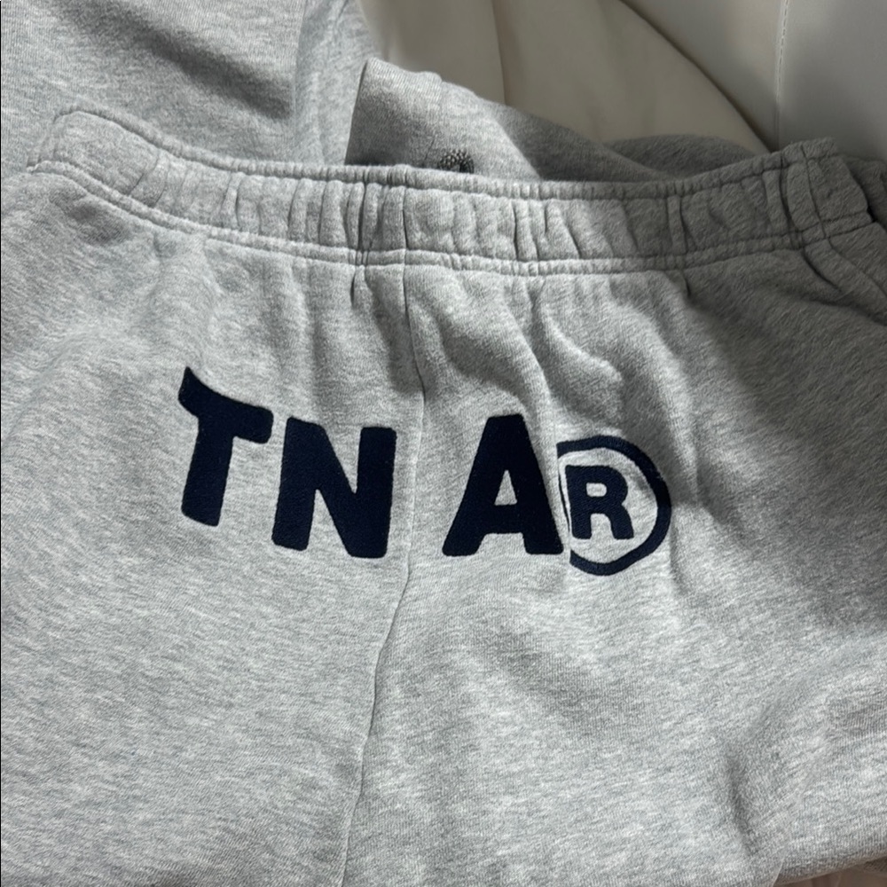 Gray Aritzia Sweatpants with TNA Logo